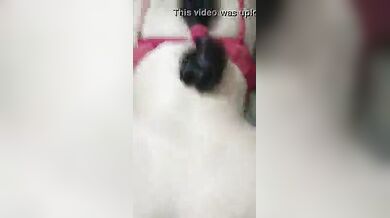 Saas aur damaad ke sahbaas ka dhasu Indian sex video